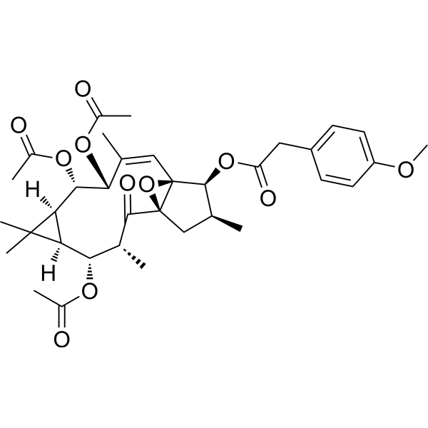 Ingol 7,8,12-triacetate 3-(4-methoxyphenyl)acetateͼƬ