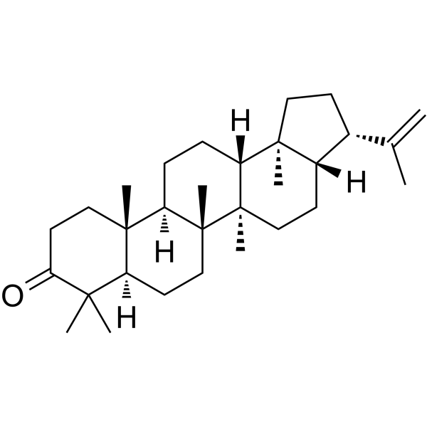 3-Oxo-hop-22(29)-eneͼƬ