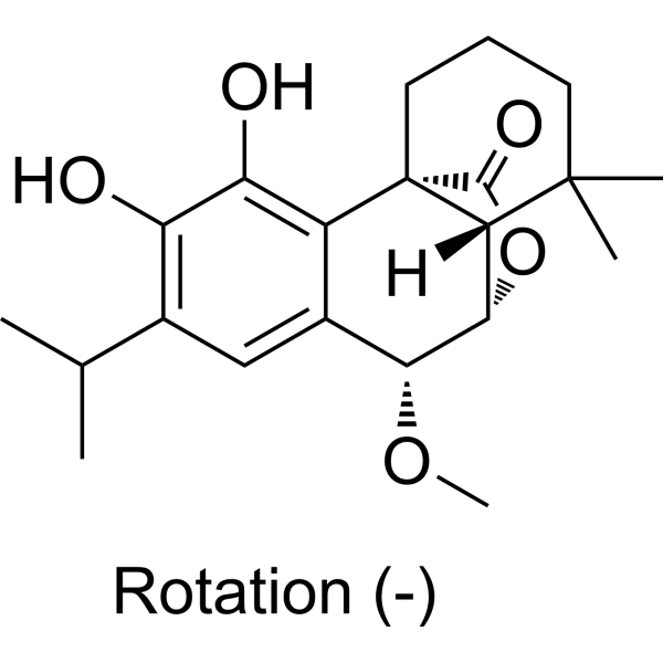 (-)-7-MethoxyrosmanolͼƬ