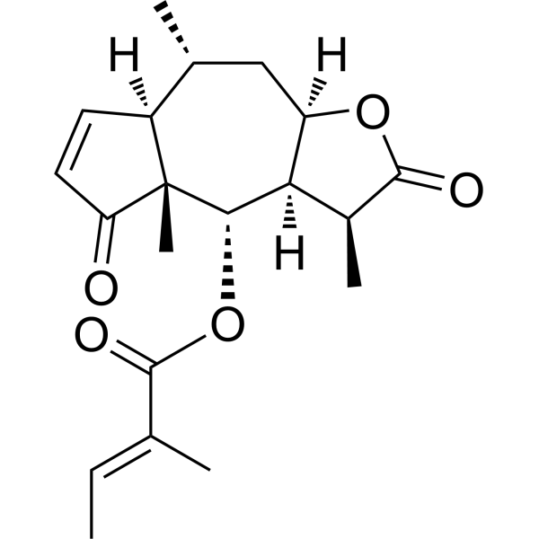 Microhelenin CͼƬ