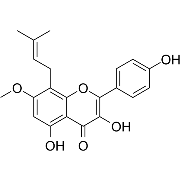 Isoanhydroicaritin图片