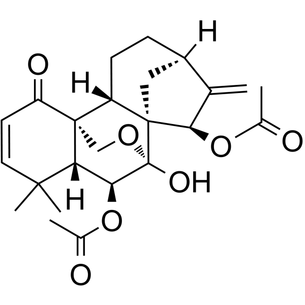 OdonicinͼƬ