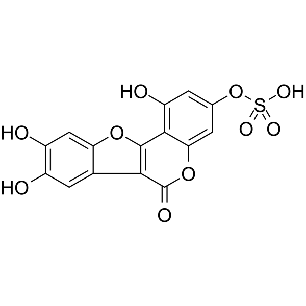 Demethylwedelolactone SulfateͼƬ