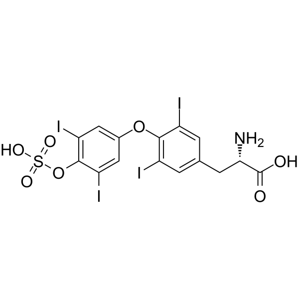 Thyroxine sulfateͼƬ