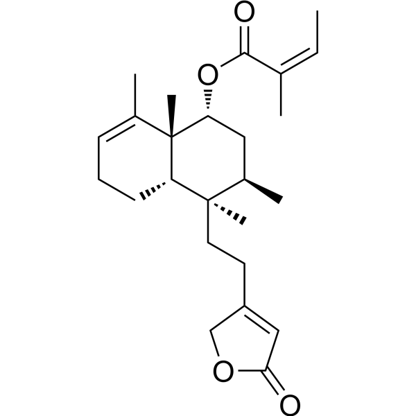 Solidagolactone IIͼƬ