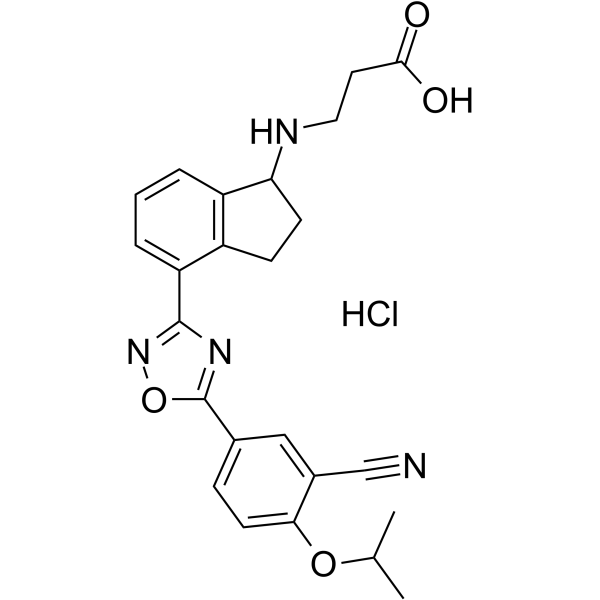 RP-001 hydrochlorideͼƬ