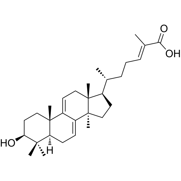 Ganoderic acid YͼƬ