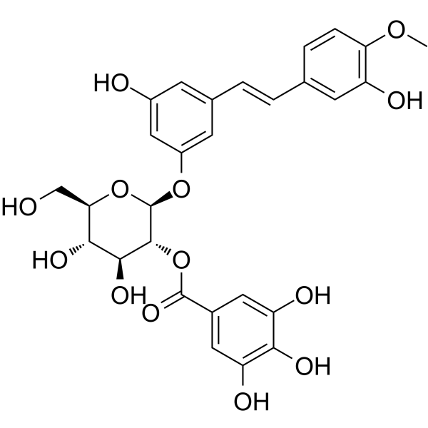 Rhaponticin 2-O-gallateͼƬ