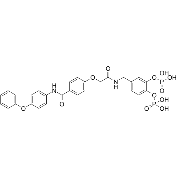 Stafib-2ͼƬ