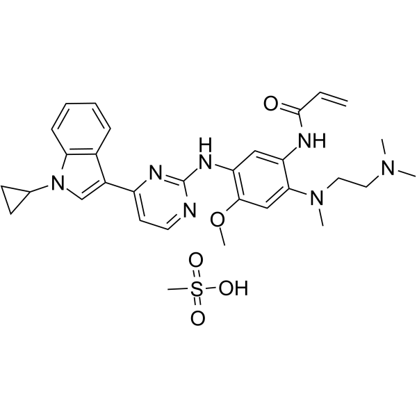 Almonertinib mesylate图片