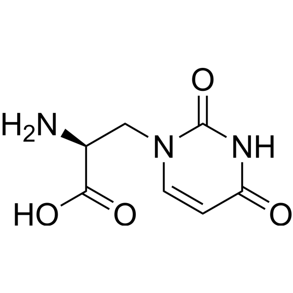 (S)-WillardiineͼƬ