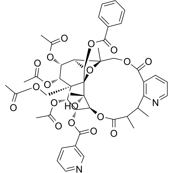 Hyponine DͼƬ