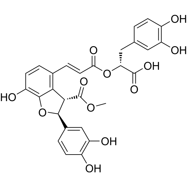 Monomethyl lithospermateͼƬ