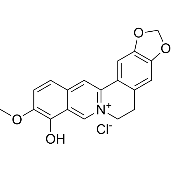 Berberrubine chlorideͼƬ