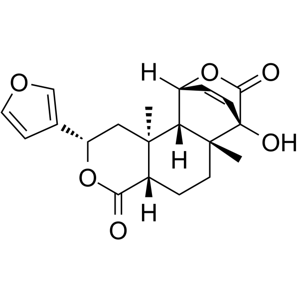 IsocolumbinͼƬ