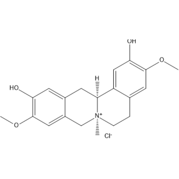 Phellodendrine chlorideͼƬ