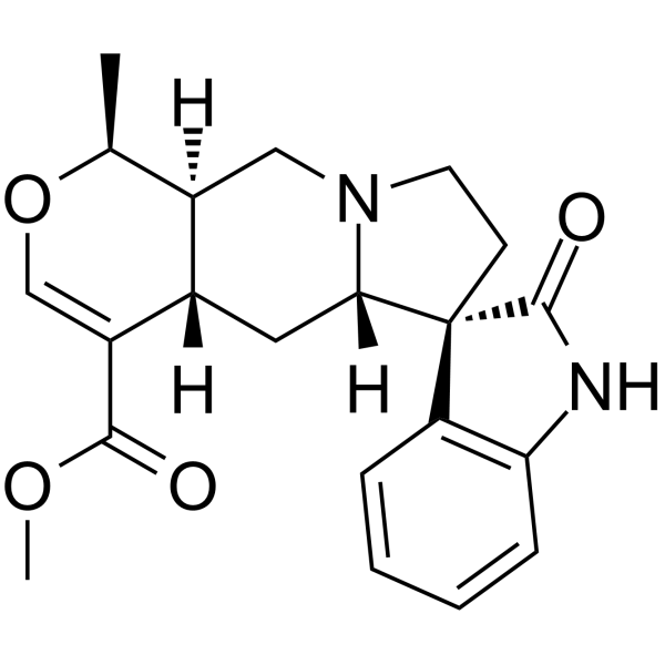 MitraphyllineͼƬ