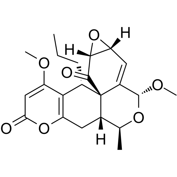 Herpotrichone BͼƬ