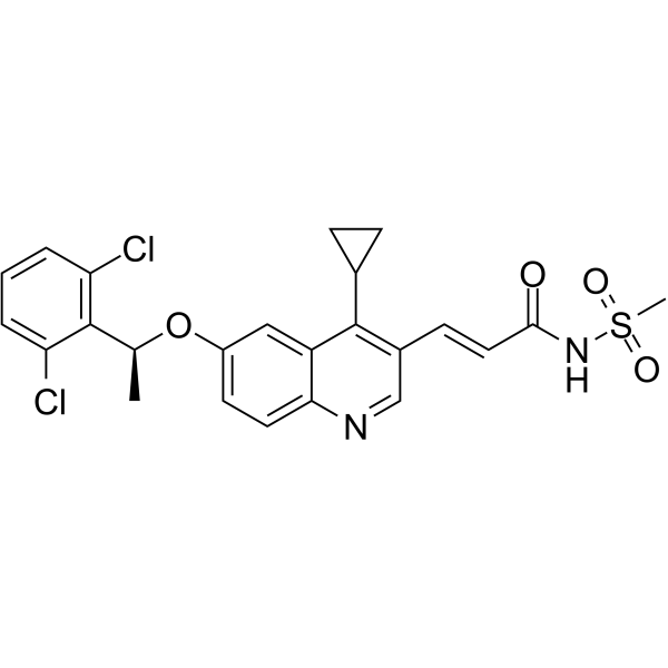 MsbA-IN-3ͼƬ