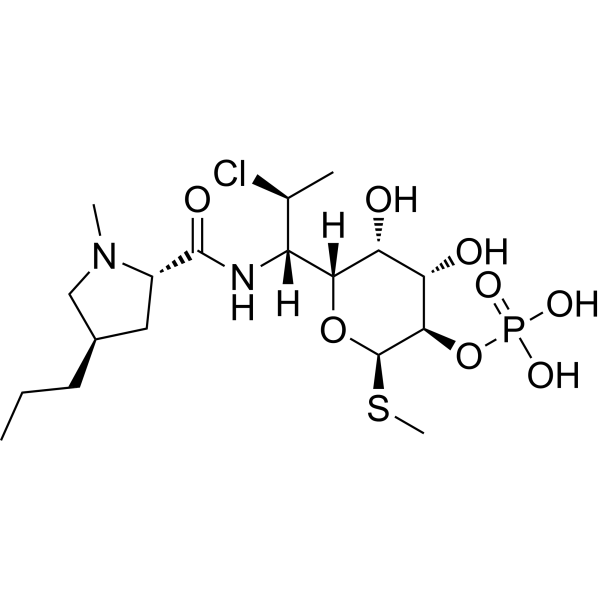 Clindamycin PhosphateͼƬ