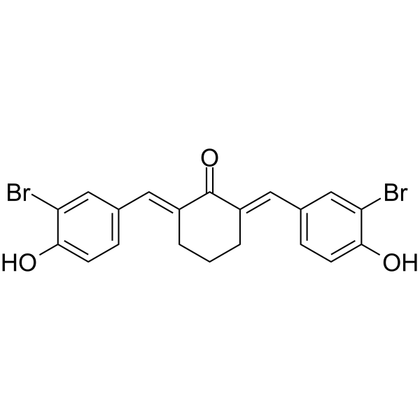 Histone Acetyltransferase Inhibitor IIͼƬ