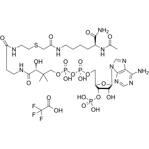 Lys-CoA TFAͼƬ