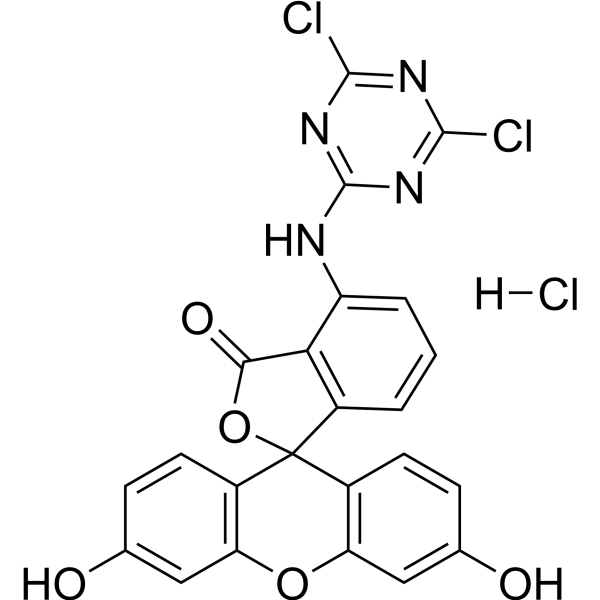 6-DTAF hydrochlorideͼƬ