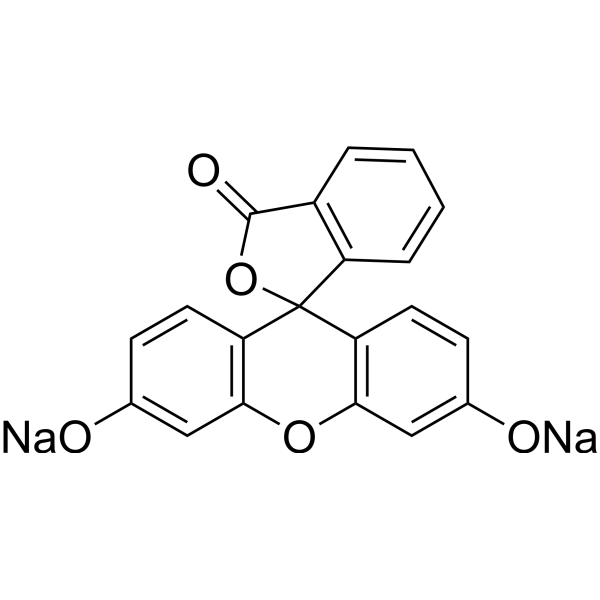 Fluorescein SodiumͼƬ