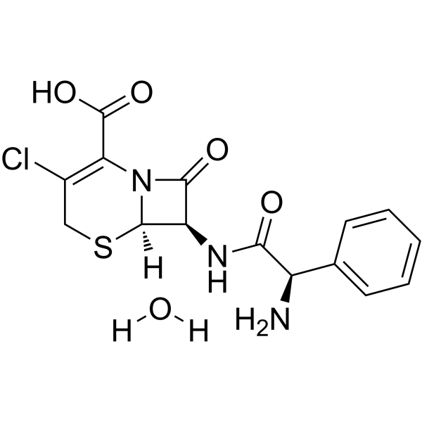 Cefaclor monohydrate图片