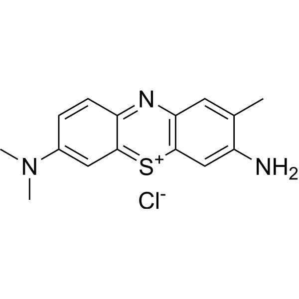 Toluidine BlueͼƬ