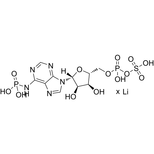 Adenosine 3'-phosphate 5'-phosphosulfate lithiumͼƬ