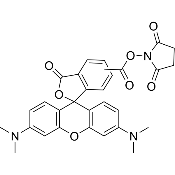 NHS-5(6)Carboxyrhodamine图片