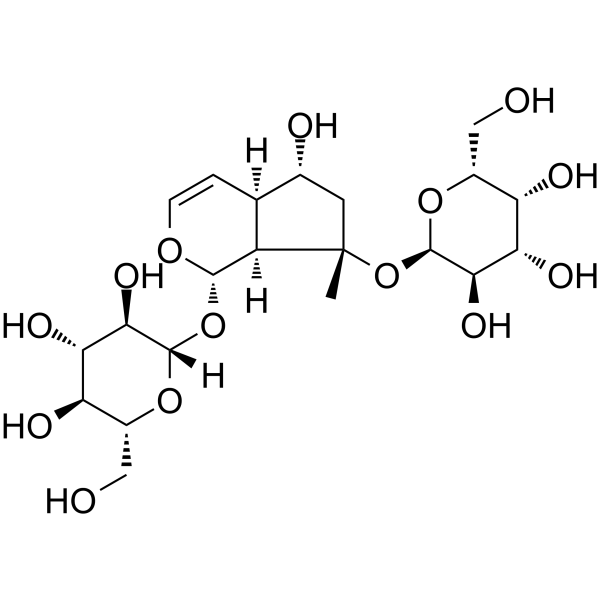 Rehmannioside CͼƬ