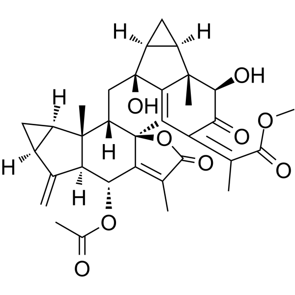 Chlorahololide CͼƬ