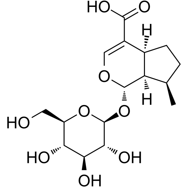 8-Epideoxyloganic acidͼƬ