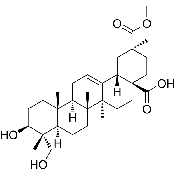 Phytolaccagenic acid图片