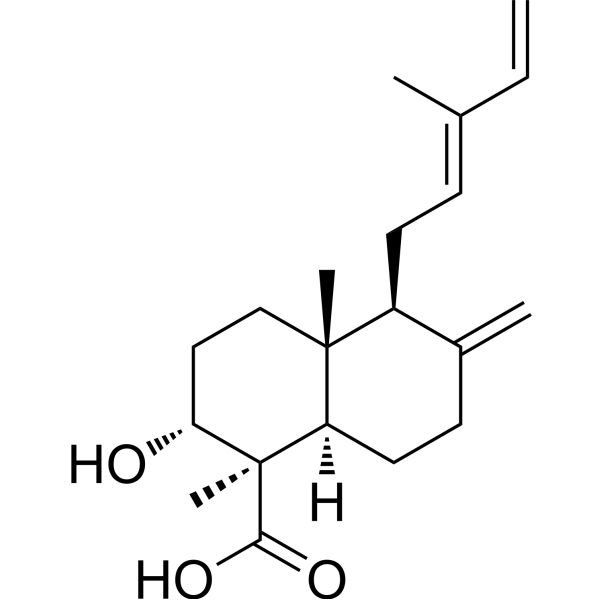 12E,14-Trien-19-oic acidͼƬ