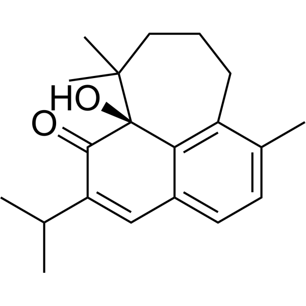 MicrostegiolͼƬ