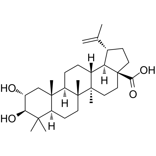 Alphitolic acidͼƬ