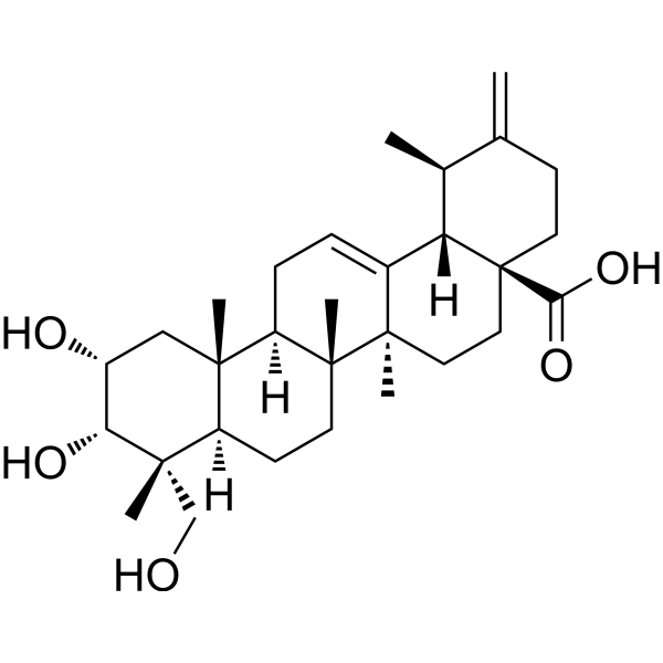 2a,3a,23-Trihydroxyurs-12,20(30)-dien-28-oic acid图片