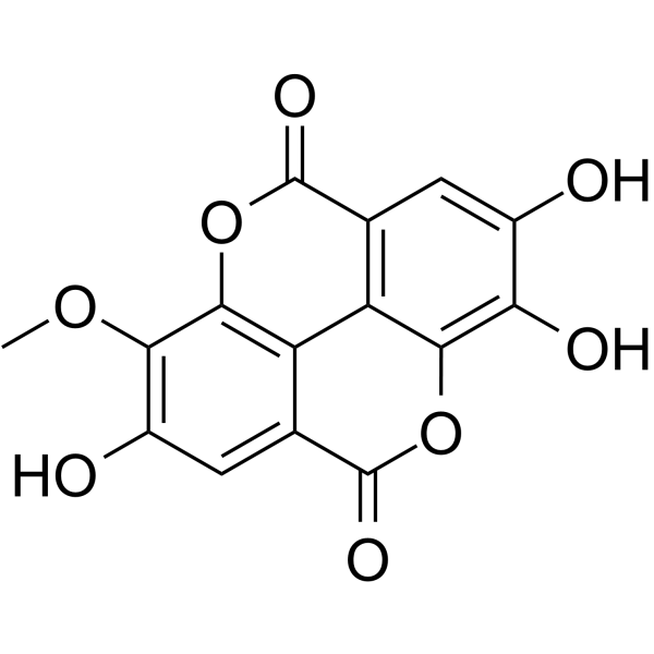 3-O-Methylellagic acidͼƬ