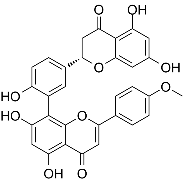 2,3-Dihydropodocarpusflavone A图片