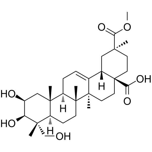 PhytolaccageninͼƬ