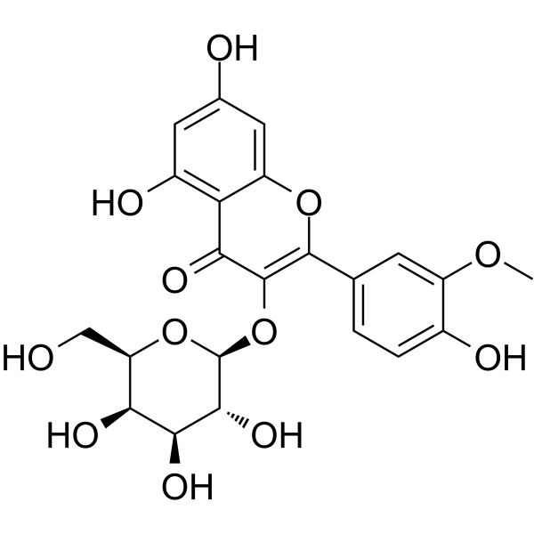 Isorhamnetin 3-O-galactosideͼƬ