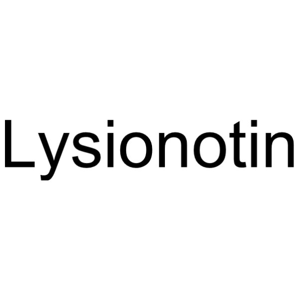 LysionotinͼƬ