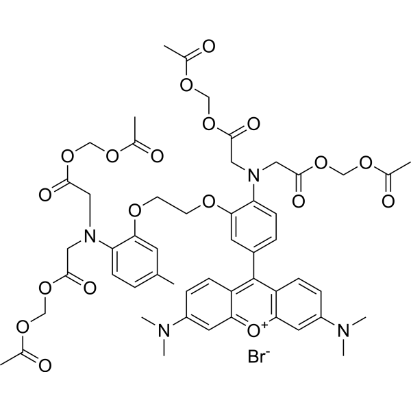 Rhod-2 AMͼƬ