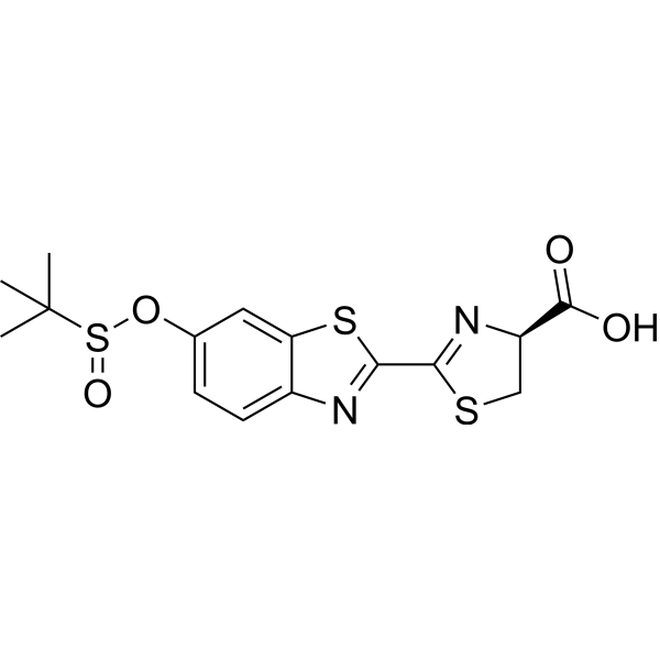 SEluc-2ͼƬ