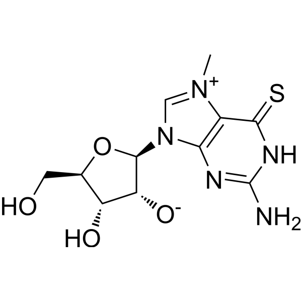 7-Methyl-6-thioguanosineͼƬ