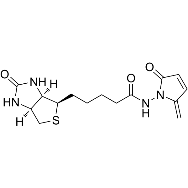 L-Biotin-NH-5MPͼƬ