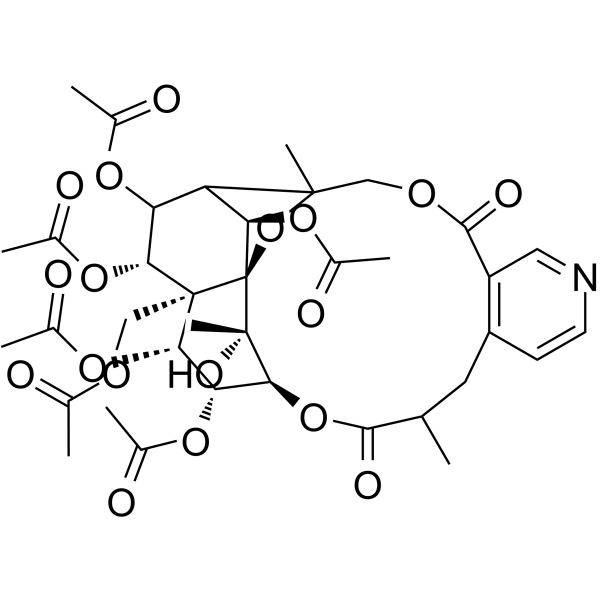 Peritassine AͼƬ